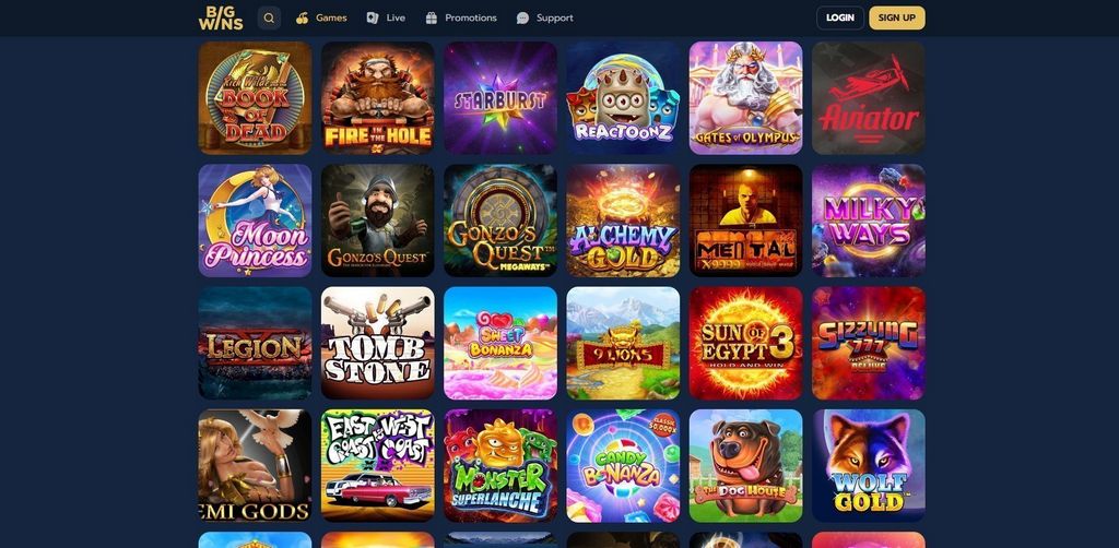 Bigwins Gambling Establishment Evaluation 2025